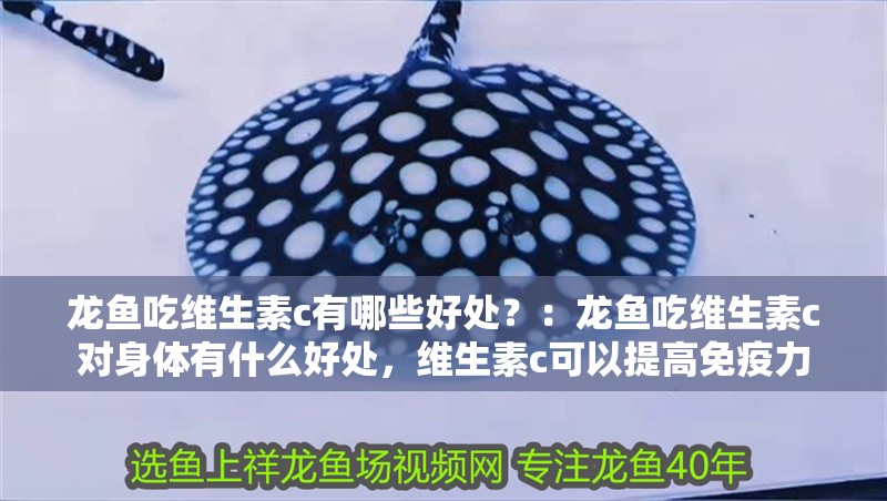 龍魚吃維生素c有哪些好處？：龍魚吃維生素c對身體有什么好處，維生素c可以提高免疫力