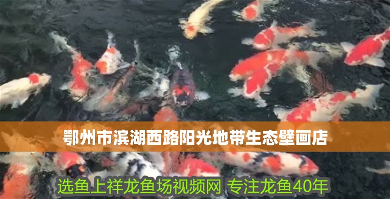 <strong><mark>鄂州</mark></strong>市濱湖西路陽光地帶生態壁畫店