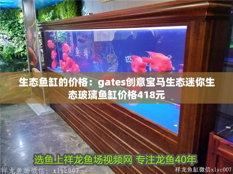 生態(tài)魚缸的價格：gates創(chuàng)意寶馬生態(tài)迷你生態(tài)玻璃魚缸價格418元