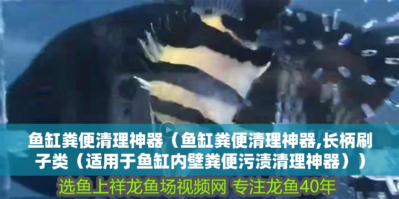 魚缸糞便清理神器（魚缸糞便清理神器,長柄刷子類（適用于魚缸內壁糞便污漬清理神器））