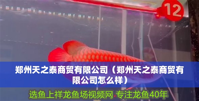 鄭州天之泰商貿有限公司（鄭州天之泰商貿有限公司怎么樣）
