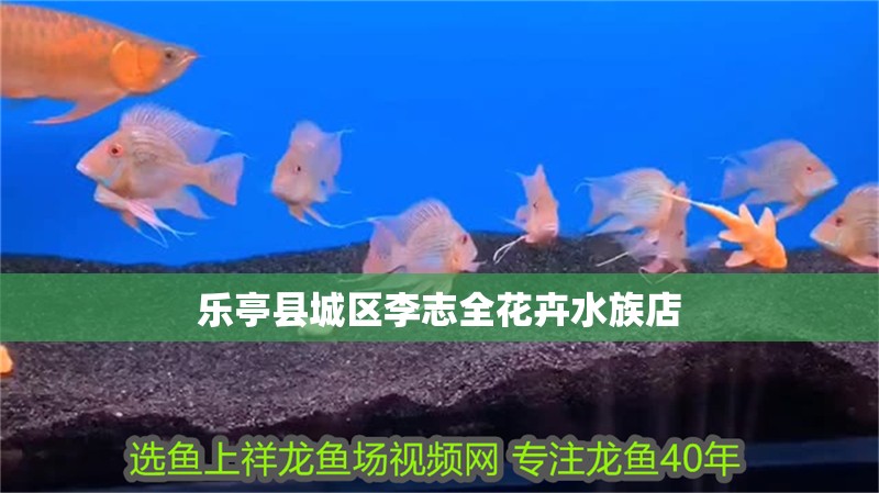 樂亭縣城區李志全花卉水族店