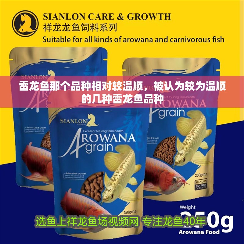雷龍魚那個品種相對較溫順，被認為較為溫順的幾種雷龍魚品種