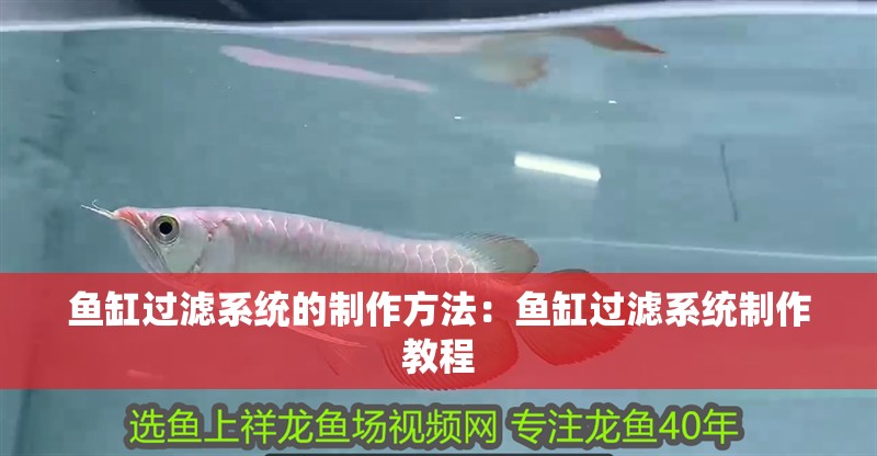 魚缸過濾系統的制作方法：魚缸過濾系統制作教程