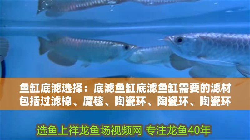 魚缸底濾選擇：底濾魚缸底濾魚缸需要的濾材包括過濾棉、魔毯、陶瓷環、陶瓷環、陶瓷環、陶瓷環、陶瓷環、陶瓷環、陶瓷環、