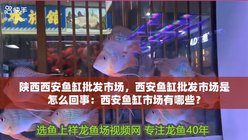 陜西西安魚缸批發市場，西安魚缸批發市場是怎么回事：西安魚缸市場有哪些？