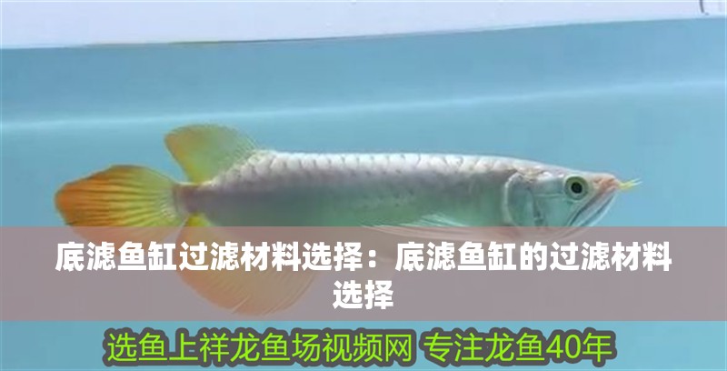底濾魚缸過濾材料選擇：底濾魚缸的過濾材料選擇