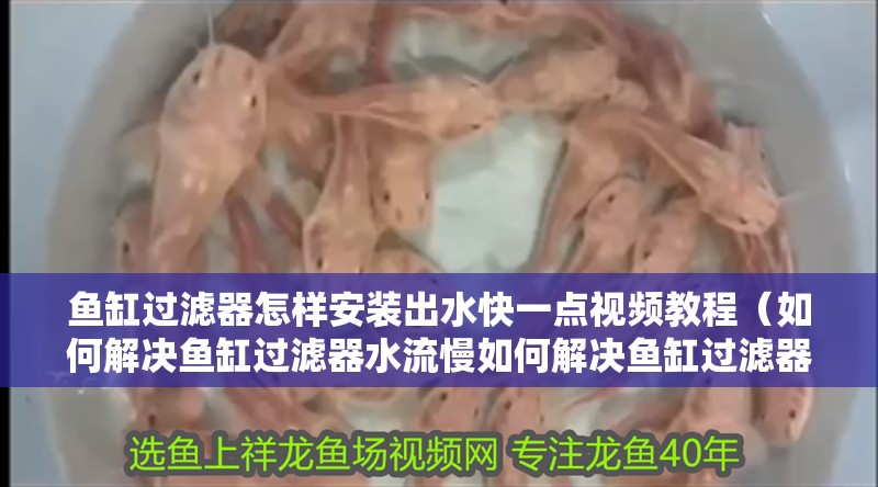 魚缸過濾器怎樣安裝出水快一點視頻教程（如何解決魚缸過濾器水流慢如何解決魚缸過濾器高效濾材選擇）