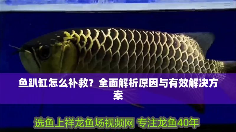 魚趴缸怎么補救？全面解析原因與有效解決方案