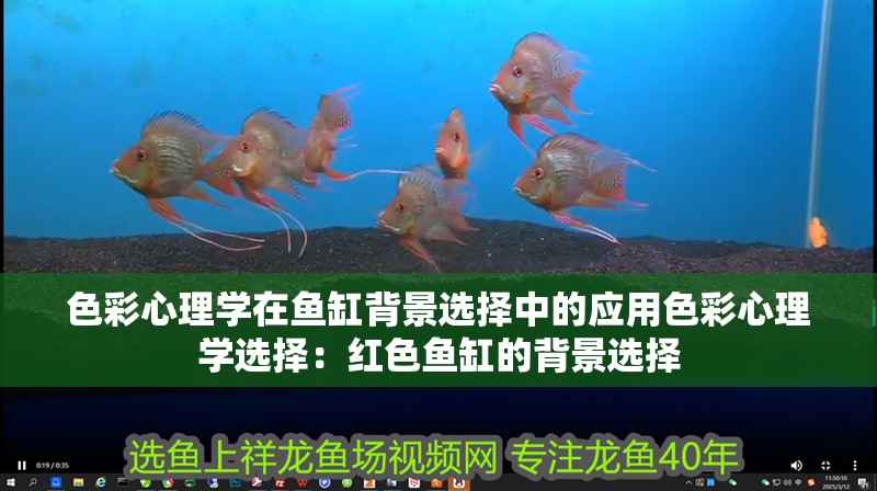色彩心理學在魚缸背景選擇中的應用色彩心理學選擇：紅色魚缸的背景選擇