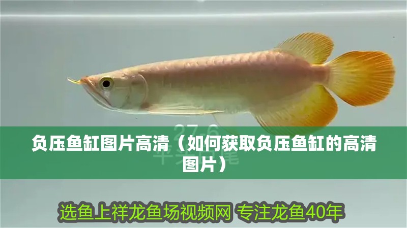 負壓魚缸圖片高清（如何獲取負壓魚缸的高清圖片）