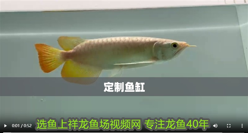 定制魚缸