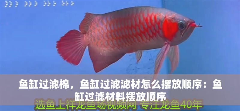 魚缸過濾棉，魚缸過濾濾材怎么擺放順序：魚缸過濾材料擺放順序