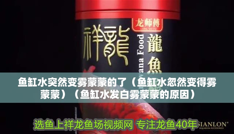 魚缸水突然變霧蒙蒙的了（魚缸水忽然變得霧蒙蒙）（魚缸水發白霧蒙蒙的原因）