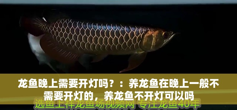 龍魚晚上需要開燈嗎？：養龍魚在晚上一般不需要開燈的，養龍魚不開燈可以嗎