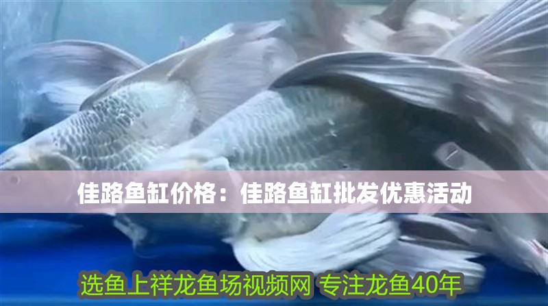 佳路魚缸價(jià)格：佳路魚缸批發(fā)優(yōu)惠活動(dòng)