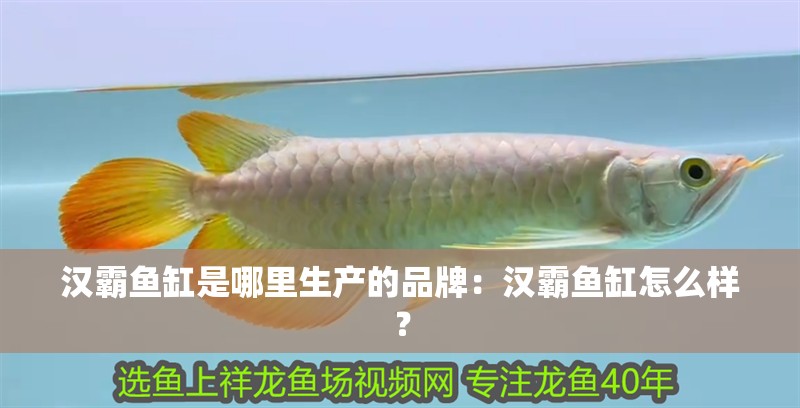 漢霸魚缸是哪里生產的品牌：漢霸魚缸怎么樣？