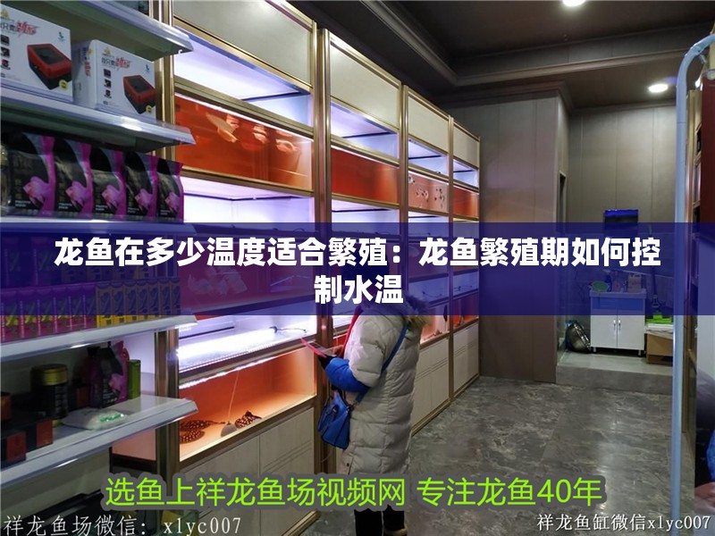 龍魚在多少溫度適合繁殖：龍魚繁殖期如何控制水溫