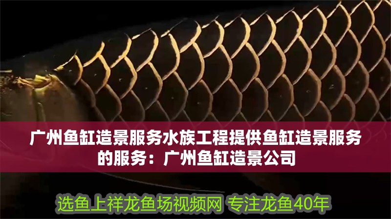 廣州魚缸造景服務水族工程提供魚缸造景服務的服務：廣州魚缸造景公司