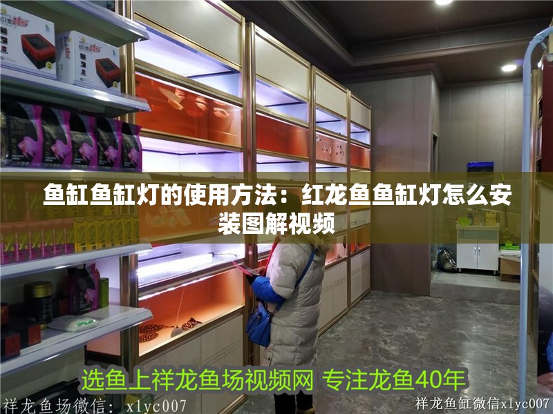 魚缸魚缸燈的使用方法：紅龍魚魚缸燈怎么安裝圖解視頻