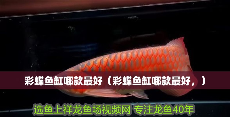 彩蝶魚缸哪款最好（彩蝶魚缸哪款最好，）