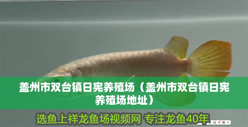 蓋州市雙臺(tái)鎮(zhèn)日憲養(yǎng)殖場(chǎng)（蓋州市雙臺(tái)鎮(zhèn)日憲養(yǎng)殖場(chǎng)地址）