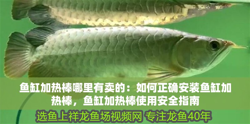 魚缸加熱棒哪里有賣的：如何正確安裝魚缸加熱棒，魚缸加熱棒使用安全指南 魚缸加熱棒哪里有賣的：如何正確安裝魚缸加熱棒，魚缸加熱棒使用安全指南 魚缸百科