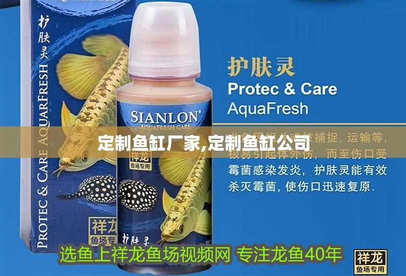 定制魚缸廠家,定制魚缸公司
