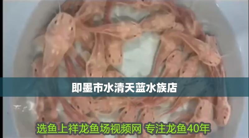 即墨市水清天藍(lán)水族店