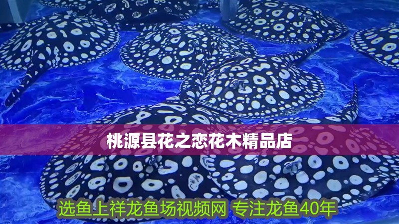 <strong><mark>桃源</mark></strong>縣花之戀花木精品店