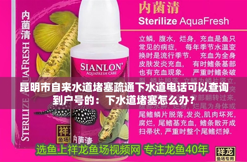 昆明市自來水道堵塞疏通下水道電話可以查詢到戶號的：下水道堵塞怎么辦？