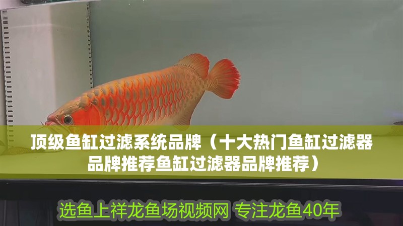 頂級魚缸過濾系統品牌（十大熱門魚缸過濾器品牌推薦魚缸過濾器品牌推薦）