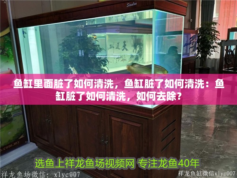 魚缸里面臟了如何清洗，魚缸臟了如何清洗：魚缸臟了如何清洗，如何去除？