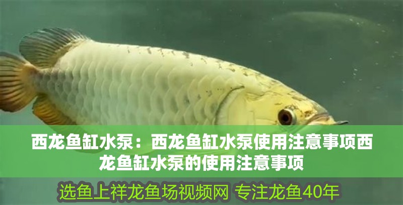 西龍魚缸水泵：西龍魚缸水泵使用注意事項西龍魚缸水泵的使用注意事項