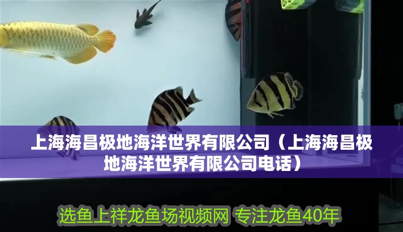 上海海昌極地海洋世界有限公司（上海海昌極地海洋世界有限公司電話）