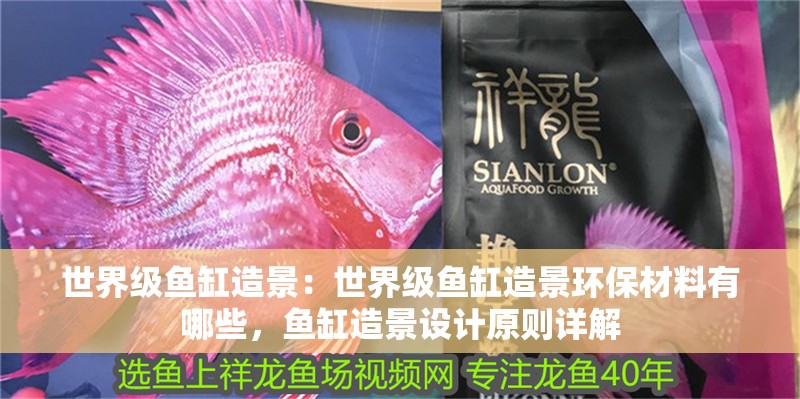 世界級魚缸造景：世界級魚缸造景環保材料有哪些，魚缸造景設計原則詳解