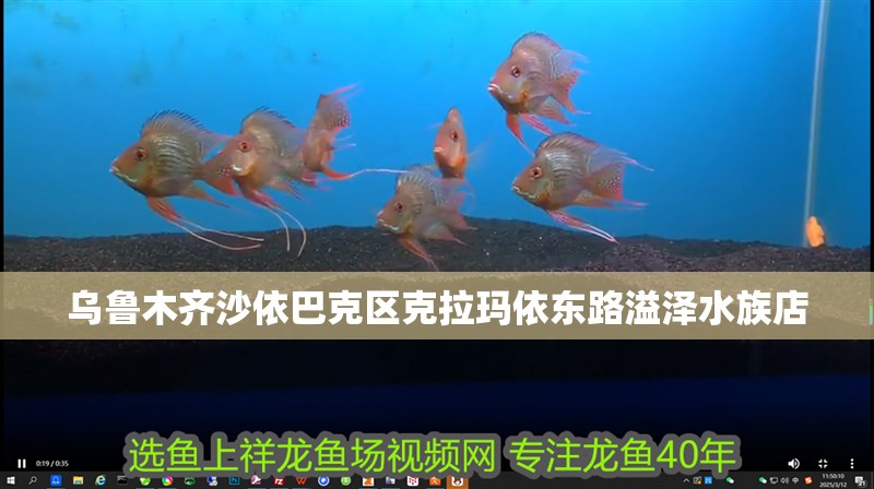 烏魯木齊沙依巴克區克拉瑪依東路溢澤水族店