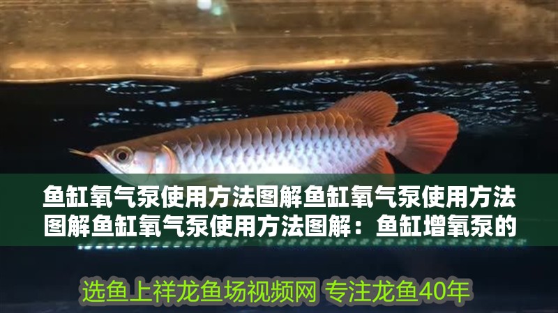 魚缸氧氣泵使用方法圖解魚缸氧氣泵使用方法圖解魚缸氧氣泵使用方法圖解：魚缸增氧泵的使用方法 魚缸氧氣泵使用方法圖解魚缸氧氣泵使用方法圖解魚缸氧氣泵使用方法圖解：魚缸增氧泵的使用方法 魚缸百科