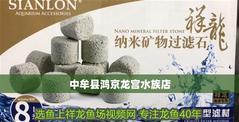 <strong><mark>中牟</mark></strong>縣鴻京龍宮水族店