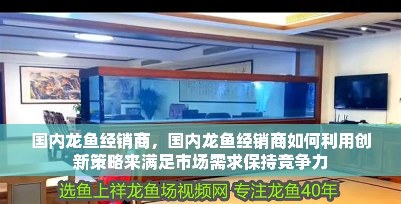 魚缸過濾器選購指南:自制魚缸過濾器魚缸上置過濾器對于養魚愛好者的必備知識 國內龍魚經銷商,國內龍魚經銷商如何利用創新策略來滿足市場需求保持競爭力 龍魚百科 國內龍魚經銷商,國內龍魚經銷商如何利用創新策略來滿足市場需求保持競爭力 國內龍魚經銷商,國內龍魚經銷商如何利用創新策略來滿足市場需求保持競爭力 龍魚百科
