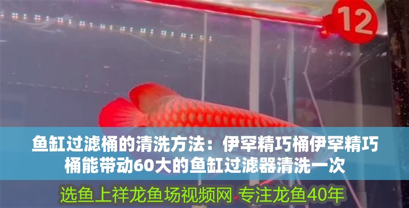 魚缸過濾桶的清洗方法：伊罕精巧桶伊罕精巧桶能帶動60大的魚缸過濾器清洗一次