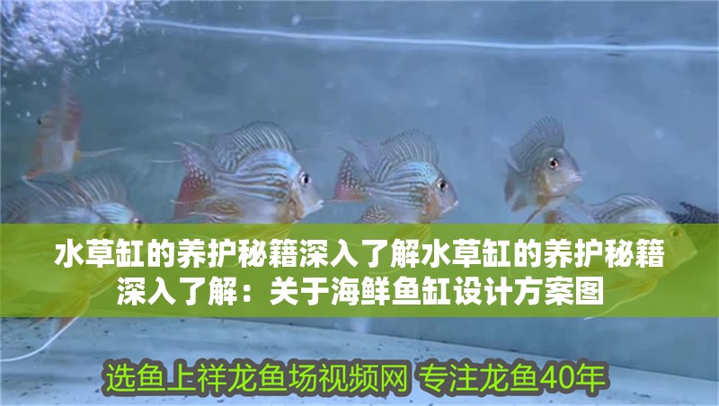 水草缸的養護秘籍深入了解水草缸的養護秘籍深入了解：關于海鮮魚缸設計方案圖