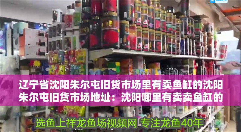 遼寧省沈陽朱爾屯舊貨市場里有賣魚缸的沈陽朱爾屯舊貨市場地址：沈陽哪里有賣賣魚缸的？