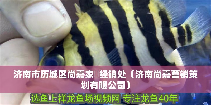 濟南市歷城區尚嘉家俬經銷處（濟南尚嘉營銷策劃有限公司）