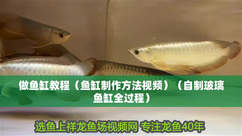 做魚缸教程（魚缸制作方法視頻）（自制玻璃魚缸全過程）