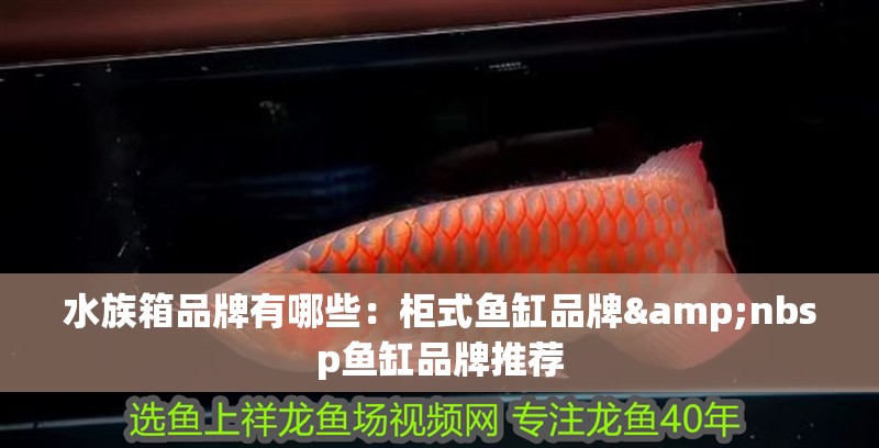 水族箱品牌有哪些：柜式魚缸品牌&nbsp魚缸品牌推薦