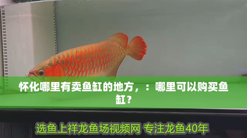 懷化哪里有賣魚缸的地方，：哪里可以購買魚缸？