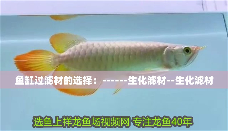 魚缸過濾材的選擇：------生化濾材--生化濾材