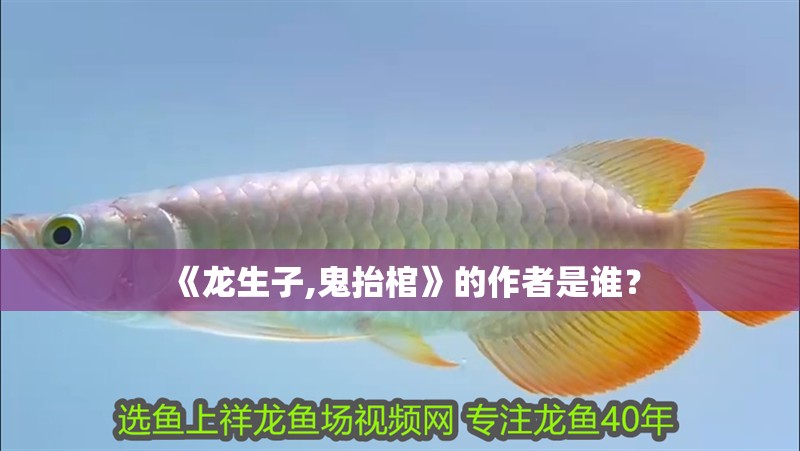 《龍生子,鬼抬棺》的作者是誰？