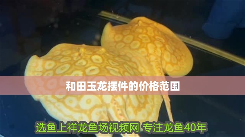 和田玉龍擺件的價格范圍